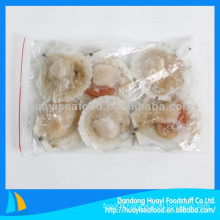 Frozen iqf scallop